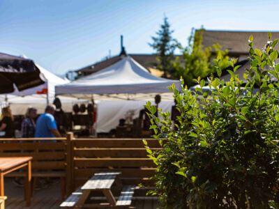 Jak wybrać namiot handlowy – przewodnik po rozmiarach